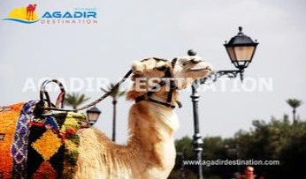 Excursion Marrakech moins cher
