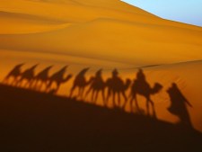 Berber Tours Of Morocco - Private Desert Tours and day trips out of Marrakech